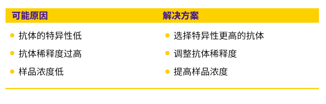 干货 | 师兄爆肝熬夜整理的WB&IF 实验技巧