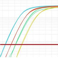 实时荧光定量RT-PCR实验