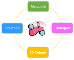 IPHASE/汇智和源原代肝细胞助力药物酶诱导研究