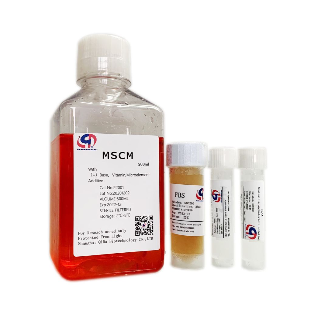 间充质干细胞完全培养基（MSCM）