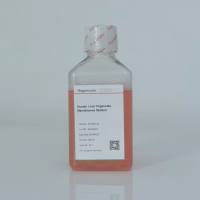 人肝类器官维持培养基