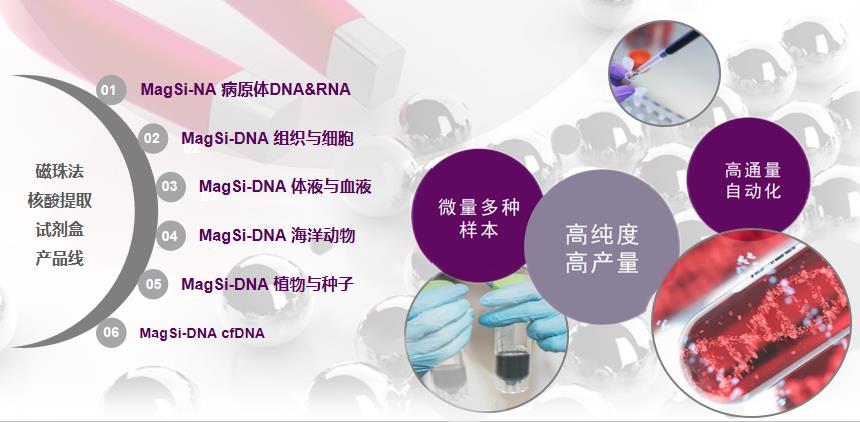 免费试用只等你来——荷兰magtivio助力高效、高产与多种样本的核酸提取