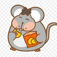 肥胖症模型