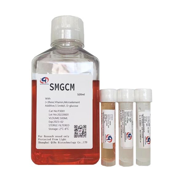 平滑肌细胞培养基(SMGCM)