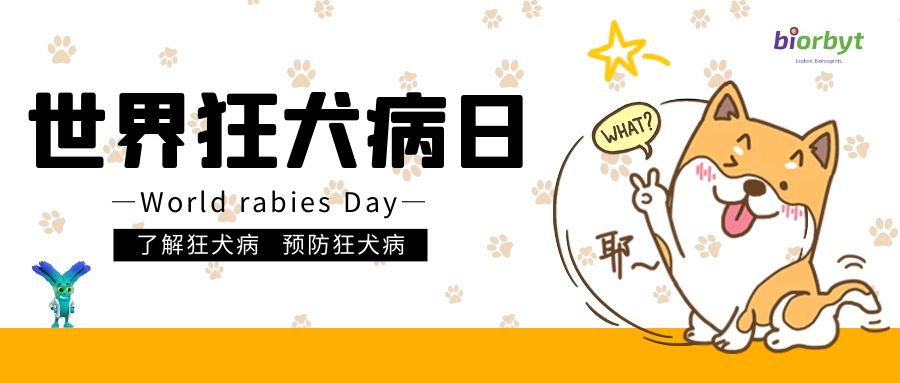 【Biorbyt科研专题】狂犬病Rabies