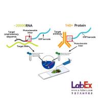 LabEx DSP空间多组学外包服务 数据分析