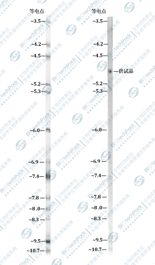 技术资料图片3