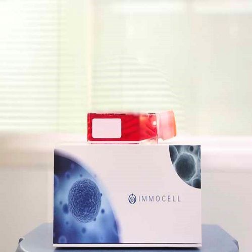 IMMOCELL DI TNC1大鼠脑间质细胞