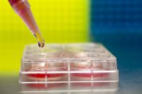 ELISA实验细胞样本处理方法