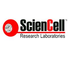 ScienCell间充质干细胞培养基MSCM-acf（货号7521）