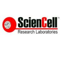 ScienCell乳腺上皮细胞培养基MEpiCM（货号7611）