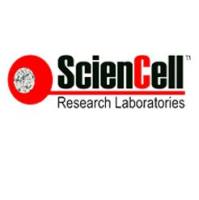 ScienCell肝细胞培养基HM （货号5201）