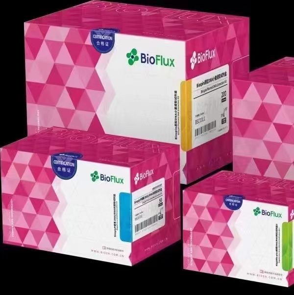 1BioRT实时荧光 RT-PCR试剂盒