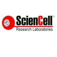ScienCell间充质干细胞成骨细胞分化生长添加物MODS（货号7532）
