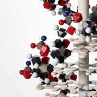 Brilliant Violet 421™ 抗人 CD64荧光流式抗体