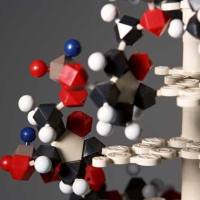 PerCP/Cyanine5.5 抗人 CD64 荧光流式抗体