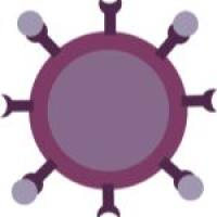 ADCC Bioassay Effector Cell (Mouse) - Jurkat Recombinant Cell Line