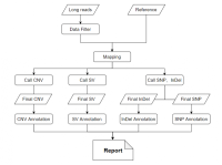 长读长人全基因组重测序