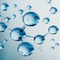 天净沙分子生物学试剂目录-3