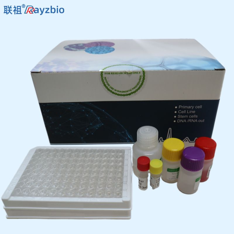 产品封面图