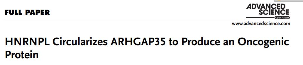 Polysome profiling技术应用--circRNA翻译产物的研究