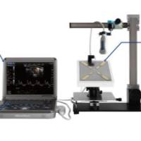 动物超声系统