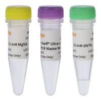 2×Hieff®长片段扩增PCR预混液( Ultra-Long PCR Master Mix)