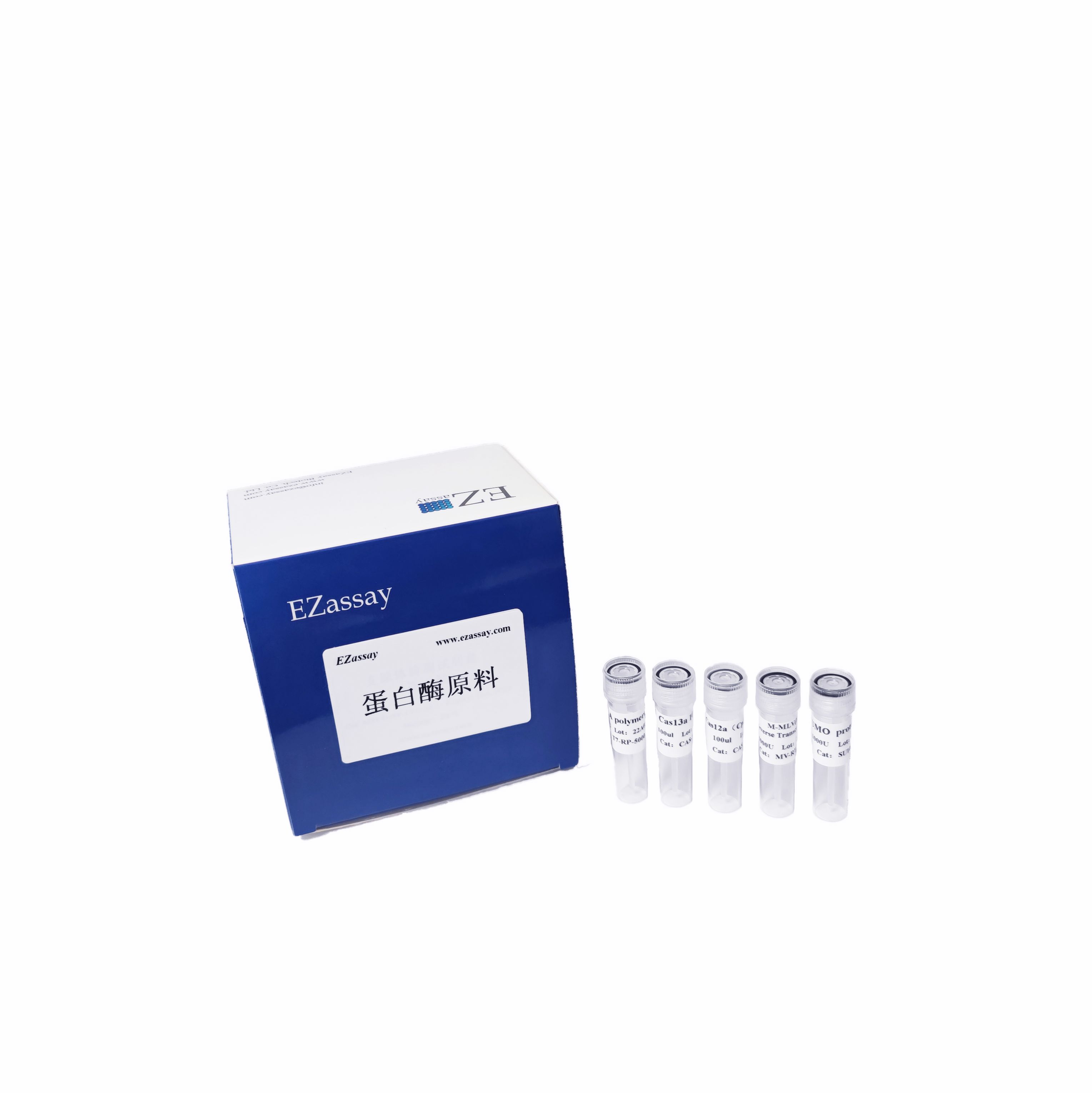 Cas14a(Cas12f1)蛋白