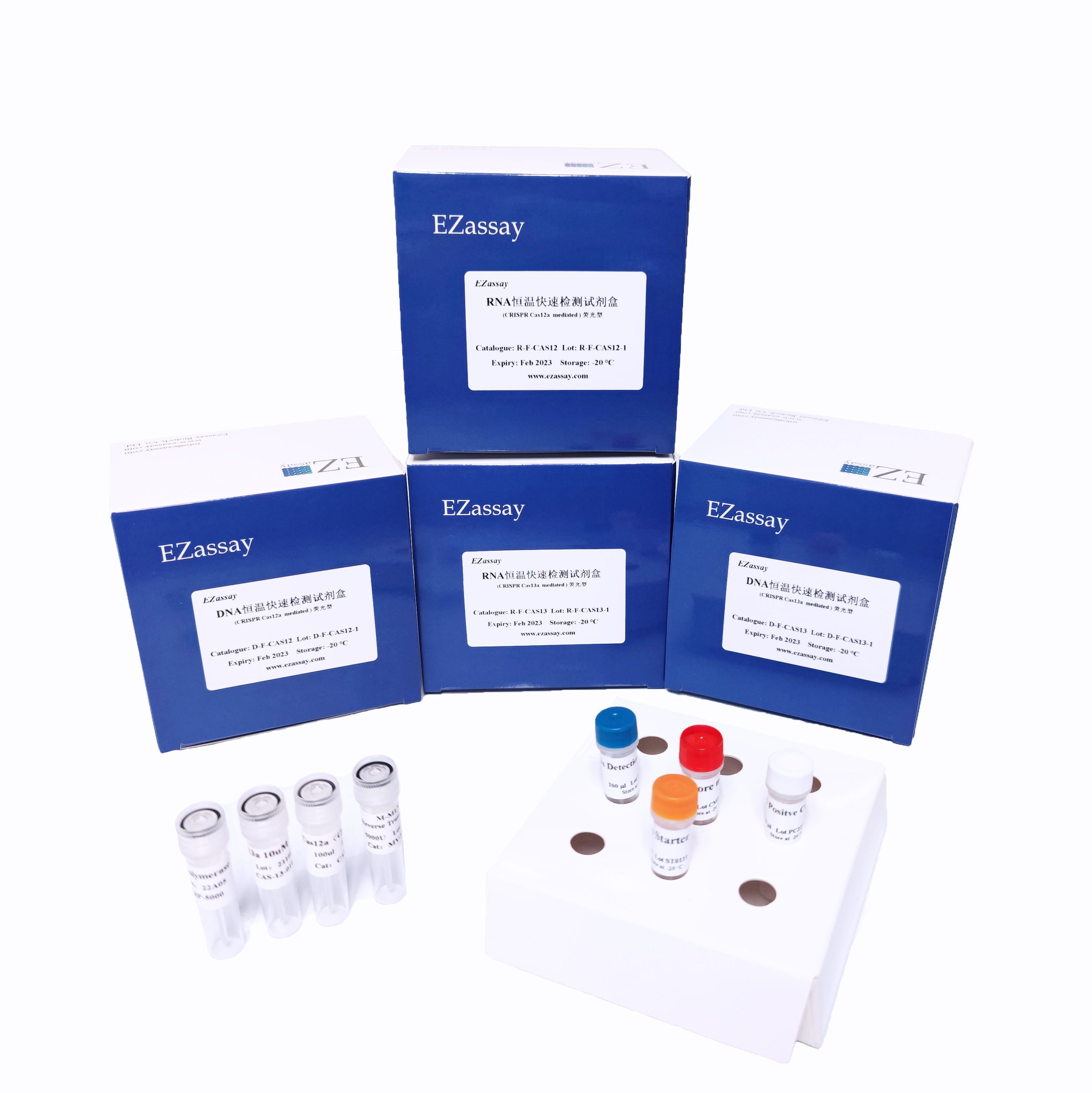 CRISPR Cas12a DNA检测试剂盒 （二步法）(液体）