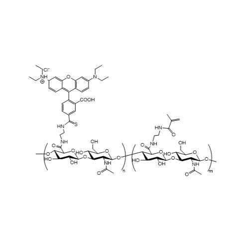 RB-HA-MA 罗丹明透明质酸甲基丙烯酸酯