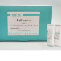 IdeZ Protease (IgG-specific)