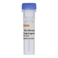 Bsu DNA polymerase (Large fragment, 5 U/μL)
