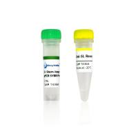 茎环法miRNA RT-qPCR试剂盒:Stem-loop miRNA qPCR SYBR kit