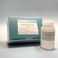 无外泌体血清（优级）