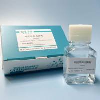 胰酶细胞消化液（不含酚红）