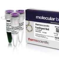 赛默飞反转录酶