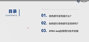 丁香实验推荐阅读