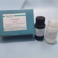 ECL化学发光检测试剂盒