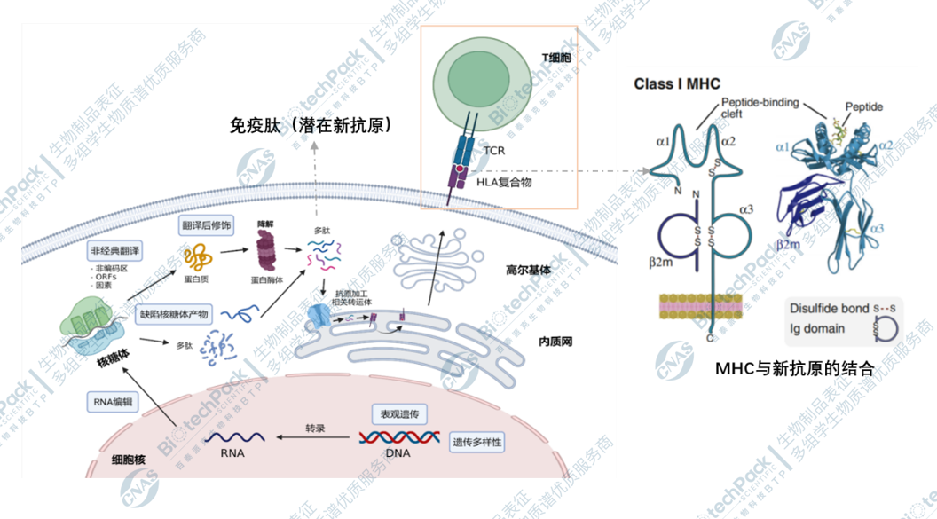 技术资料图片1