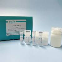 免疫（共）沉淀试剂盒