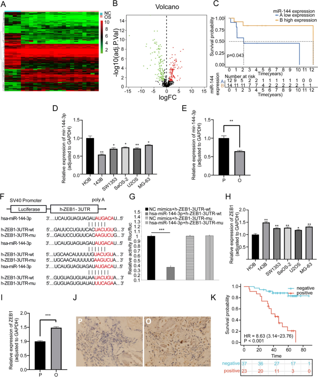 IF=37.3 | miRNA治疗骨肉瘤新机制