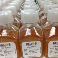 血清替代品,KnockOut™ 血清替代物