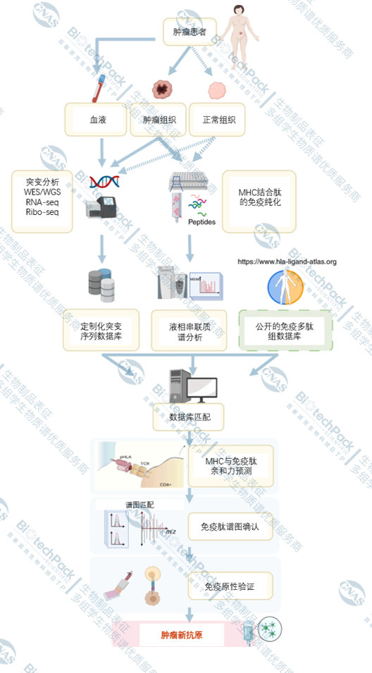 技术资料图片2