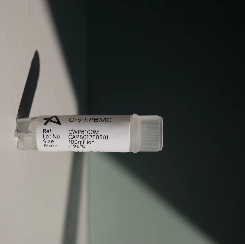 冻存人PBMC细胞分离服务(优质供应)13611631389上海雅裕生物