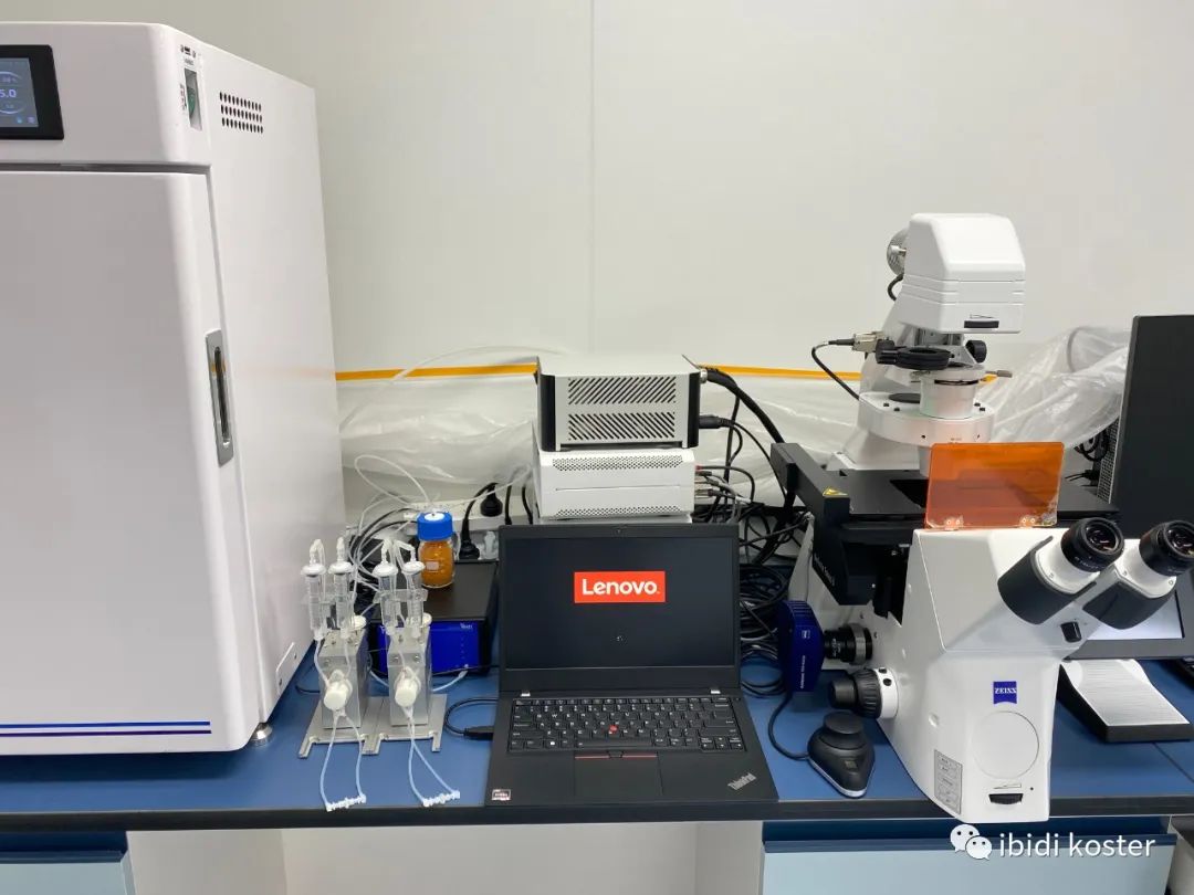 ibidi流体剪切力系统装机培训完成