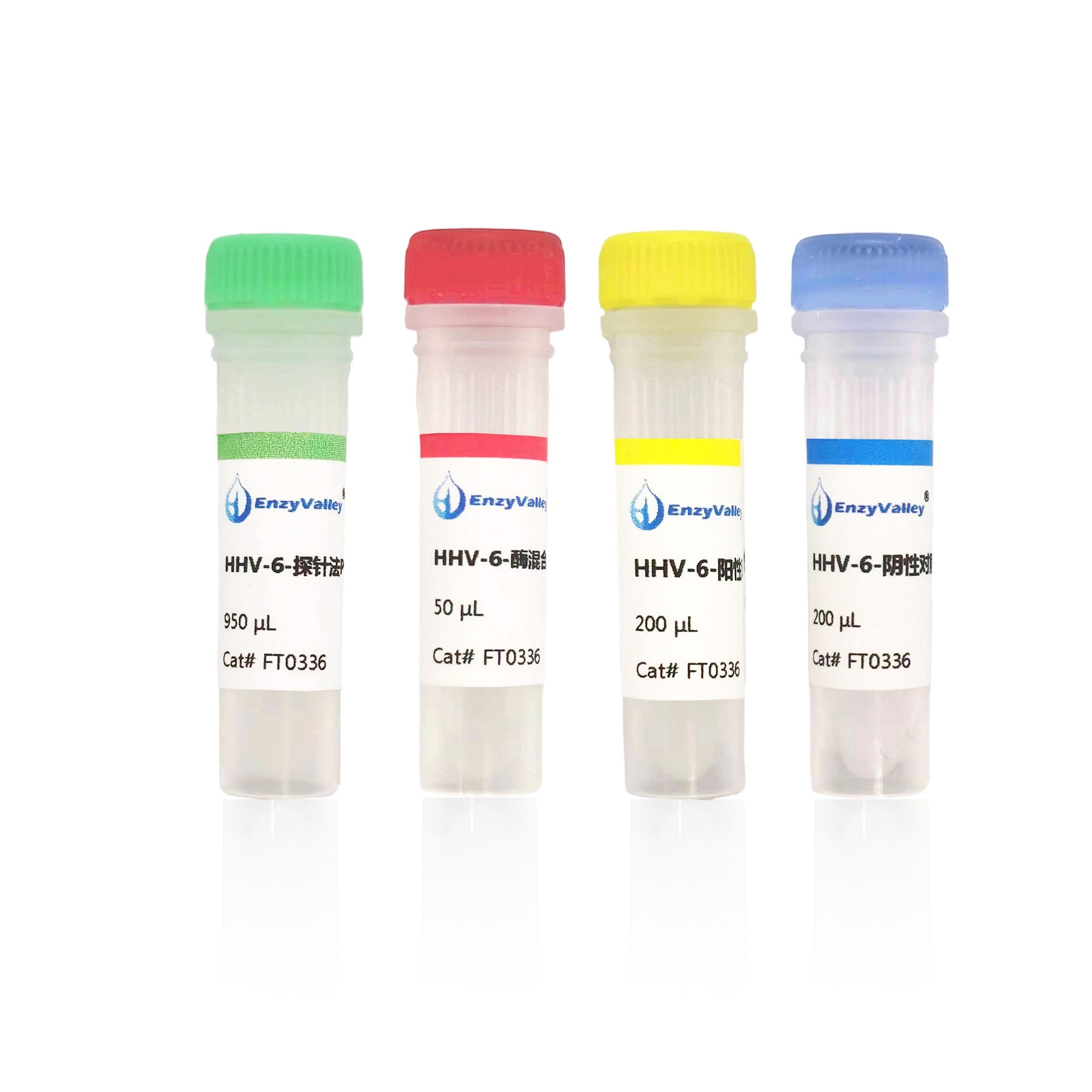 人疱疹病毒6型探针法荧光定量PCR试剂盒（FT0336）