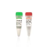 PreScript One-Step RT-qPCR Probe Kit