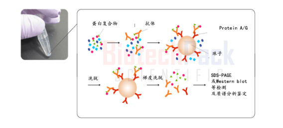 技术资料图片2