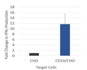 CAR-T 细胞的功能验证 -BPS Bioscience