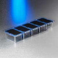 Axygen® 96孔吸头，1000µL，透明，带滤芯，无菌，悬挂式吸头盒 (5包)